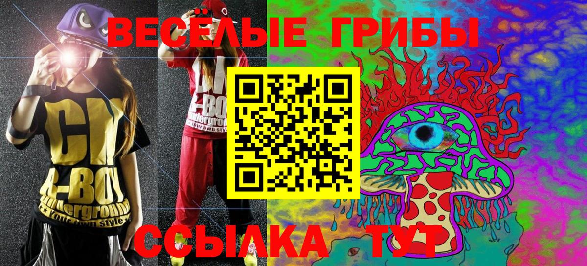 Мыски  Галлюциногенные грибы Psilocybine cubensis  Вход с VPN 